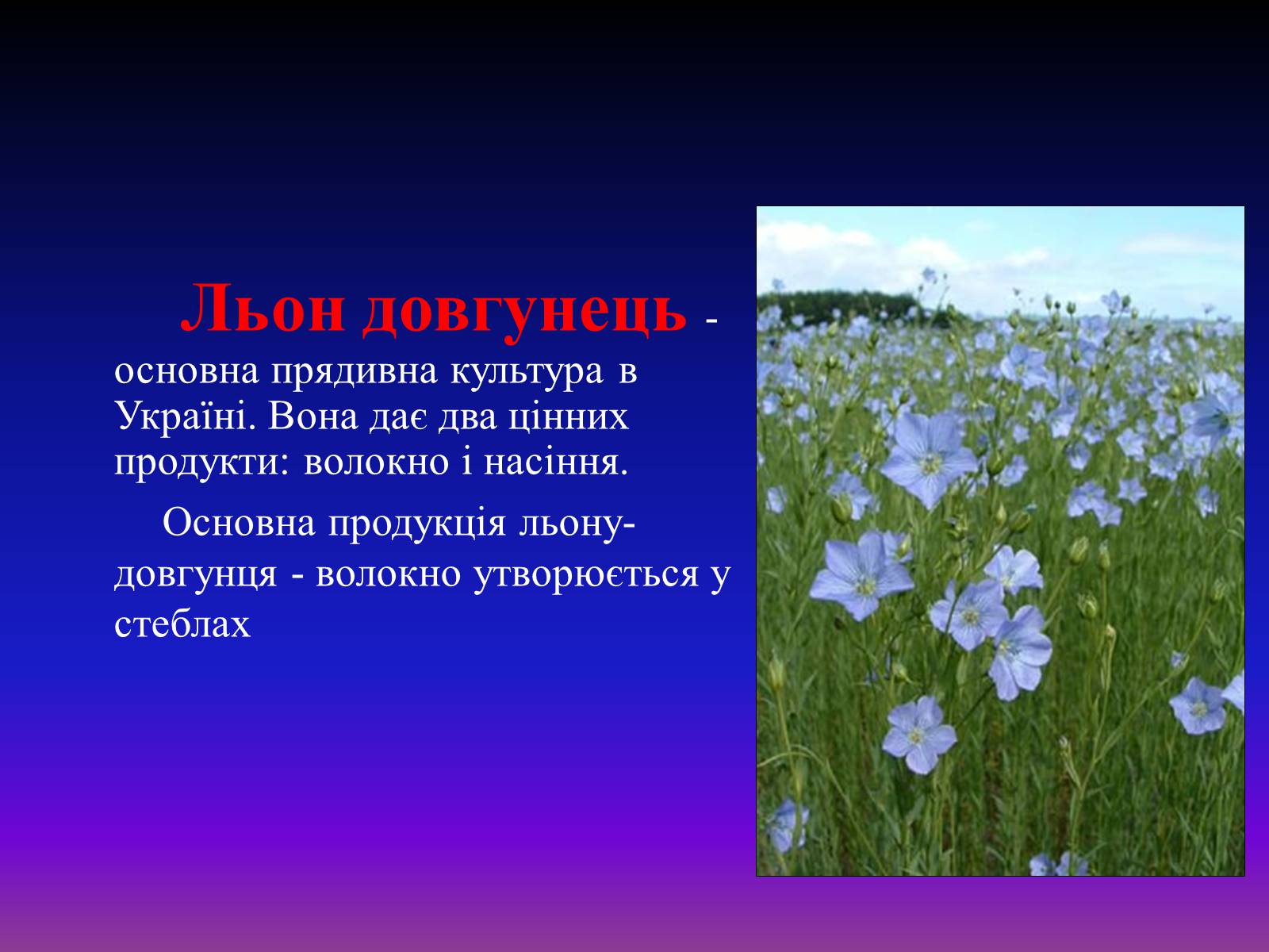 Презентація на тему «Природні волокна» (варіант 1) - Слайд #3 Презентація на тему «Природні волокна» (варіант 1) - Слайд #3