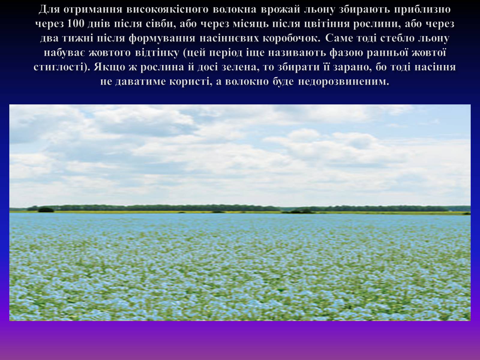 Презентація на тему «Природні волокна» (варіант 1) - Слайд #4 Презентація на тему «Природні волокна» (варіант 1) - Слайд #4