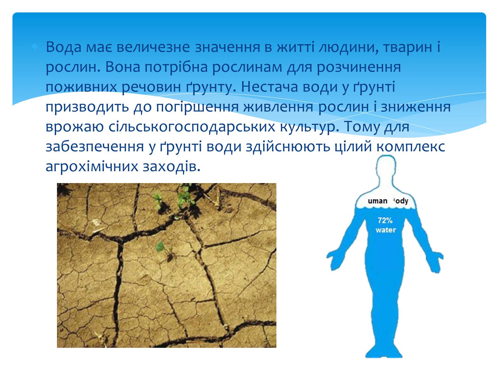 Презентація на тему «Вода. Особливості молекулярної води. Роль води в життєдіяльності організмів» - Слайд #14 Презентація на тему «Вода. Особливості молекулярної води. Роль води в життєдіяльності організмів» - Слайд #14