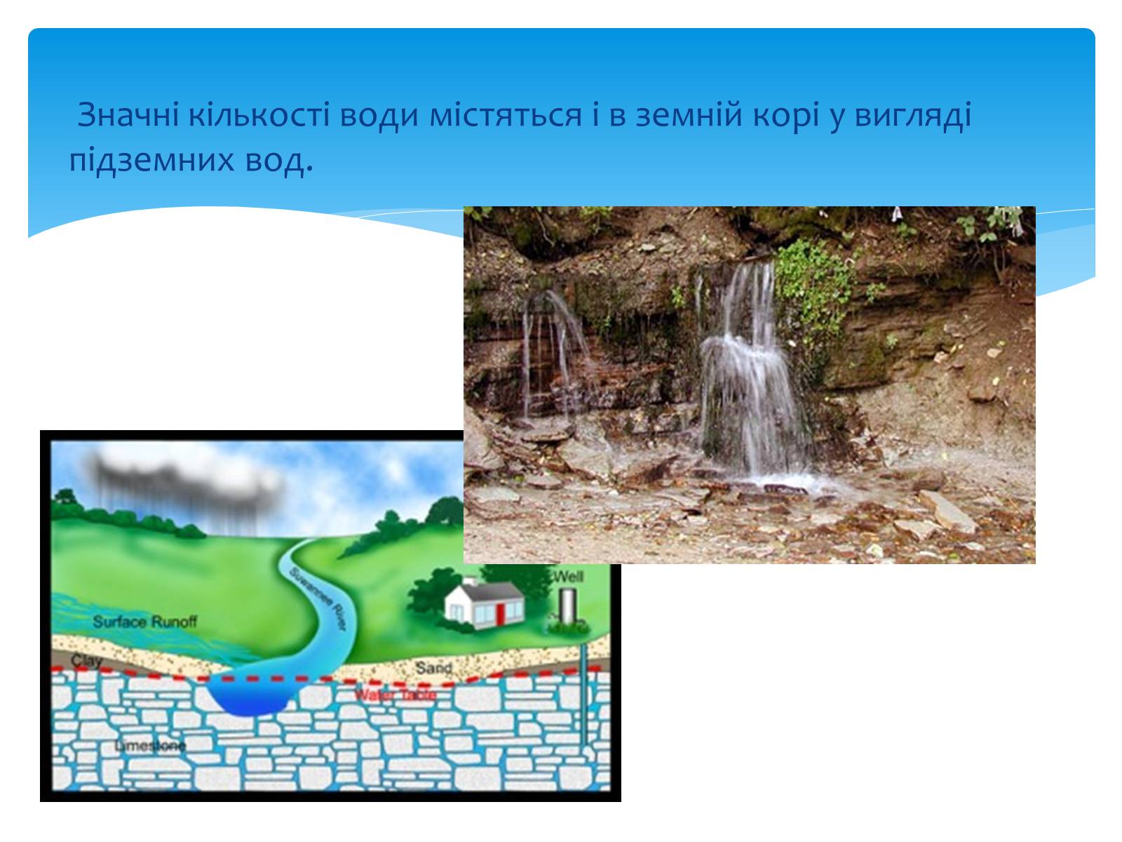 Презентація на тему «Вода. Особливості молекулярної води. Роль води в життєдіяльності організмів» - Слайд #7 Презентація на тему «Вода. Особливості молекулярної води. Роль води в життєдіяльності організмів» - Слайд #7
