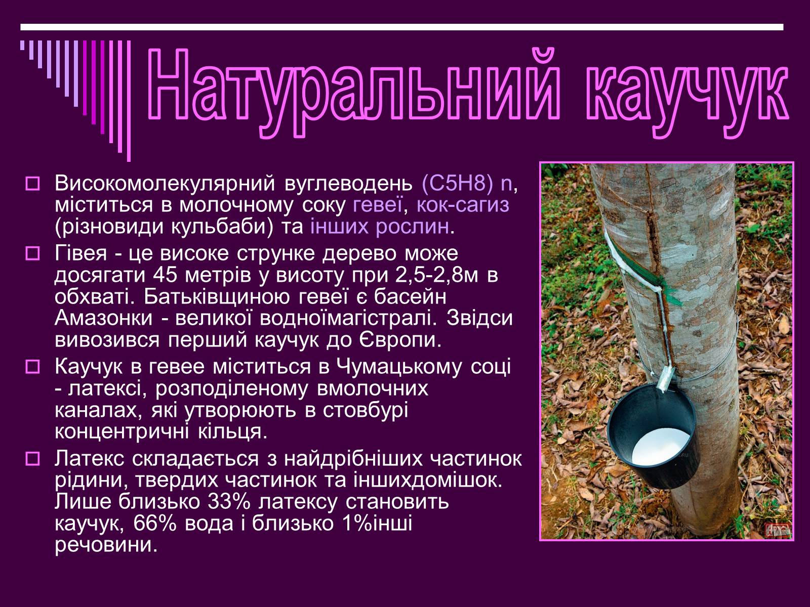 Презентація на тему «Каучук» (варіант 1) - Слайд #6 Презентація на тему «Каучук» (варіант 1) - Слайд #6