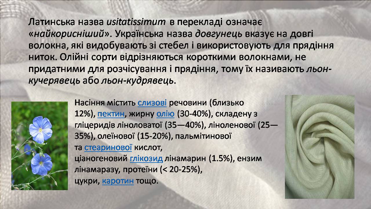 Презентація на тему «Природні волокна» (варіант 3) - Слайд #13 Презентація на тему «Природні волокна» (варіант 3) - Слайд #13