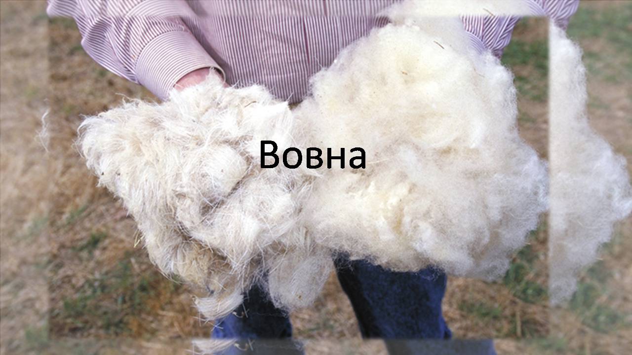 Презентація на тему «Природні волокна» (варіант 3) - Слайд #15 Презентація на тему «Природні волокна» (варіант 3) - Слайд #15