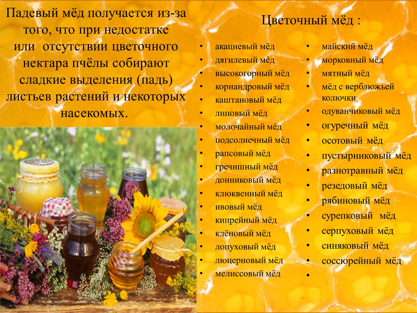 Презентація на тему «Мёд» - Слайд #7 Презентація на тему «Мёд» - Слайд #7