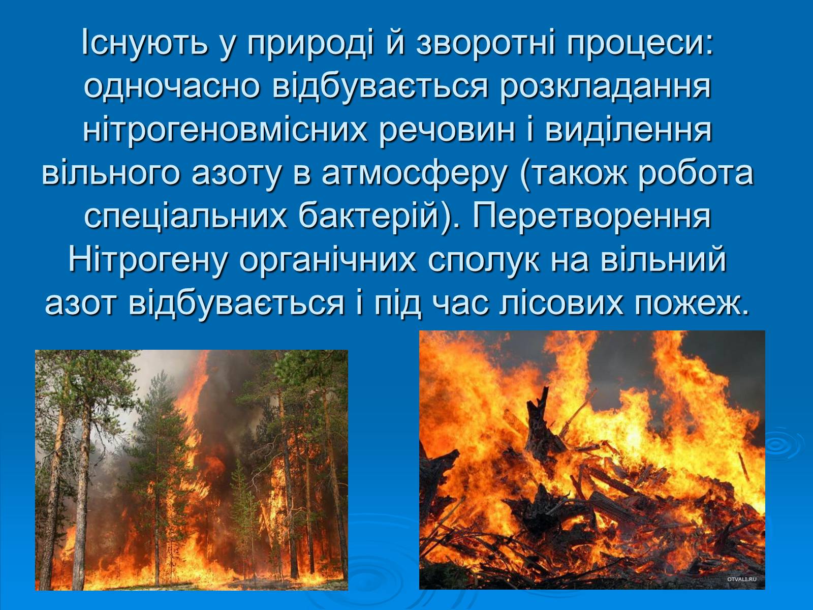 Презентація на тему «Колообіг нітрогену» (варіант 2) - Слайд #13 Презентація на тему «Колообіг нітрогену» (варіант 2) - Слайд #13