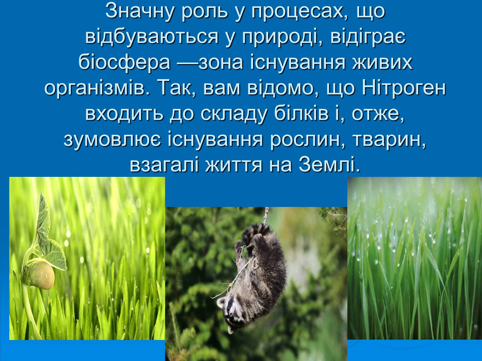 Презентація на тему «Колообіг нітрогену» (варіант 2) - Слайд #8 Презентація на тему «Колообіг нітрогену» (варіант 2) - Слайд #8
