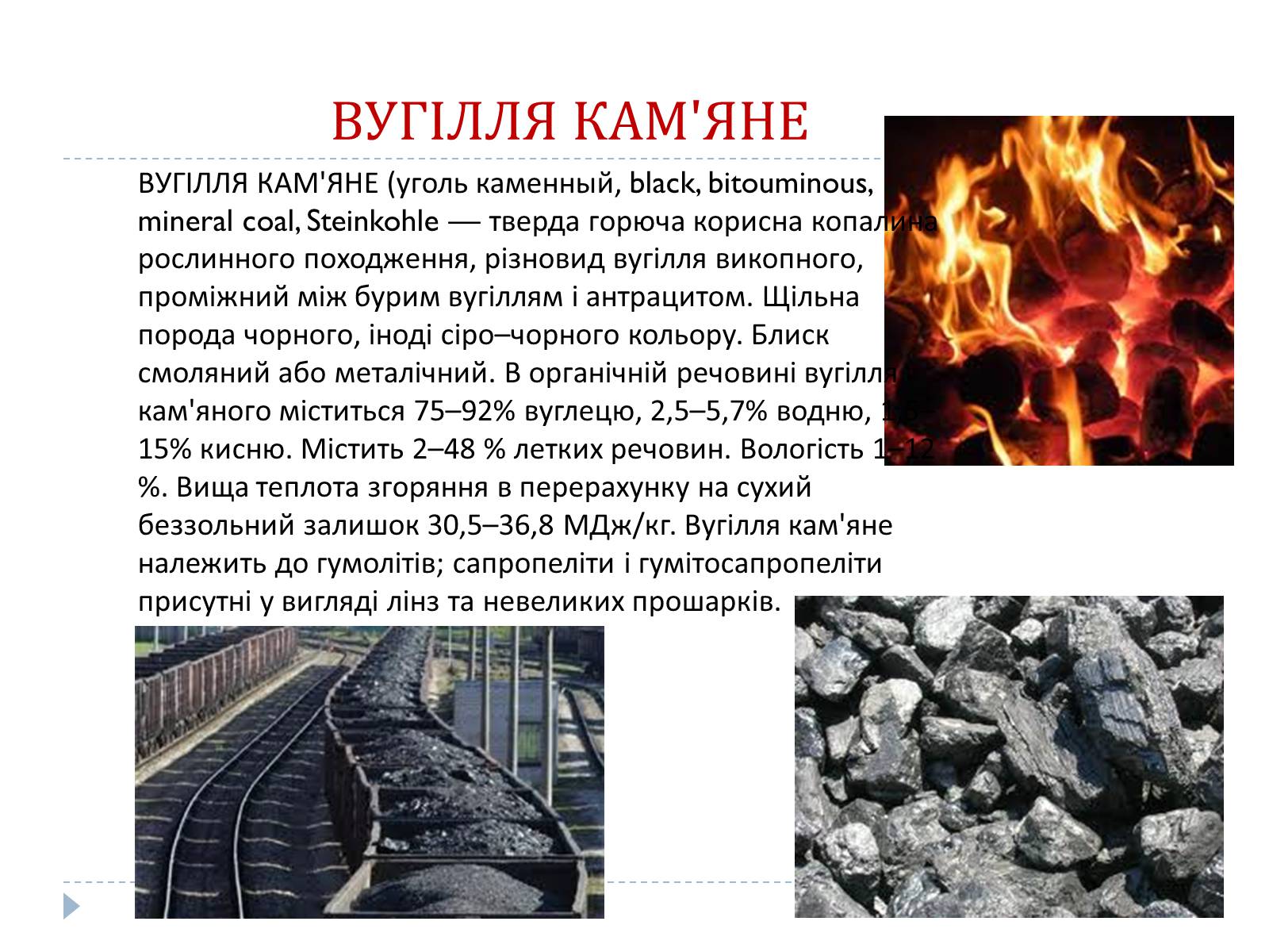 Презентація на тему «Кам’яне вугілля» (варіант 4) - Слайд #2 Презентація на тему «Кам’яне вугілля» (варіант 4) - Слайд #2