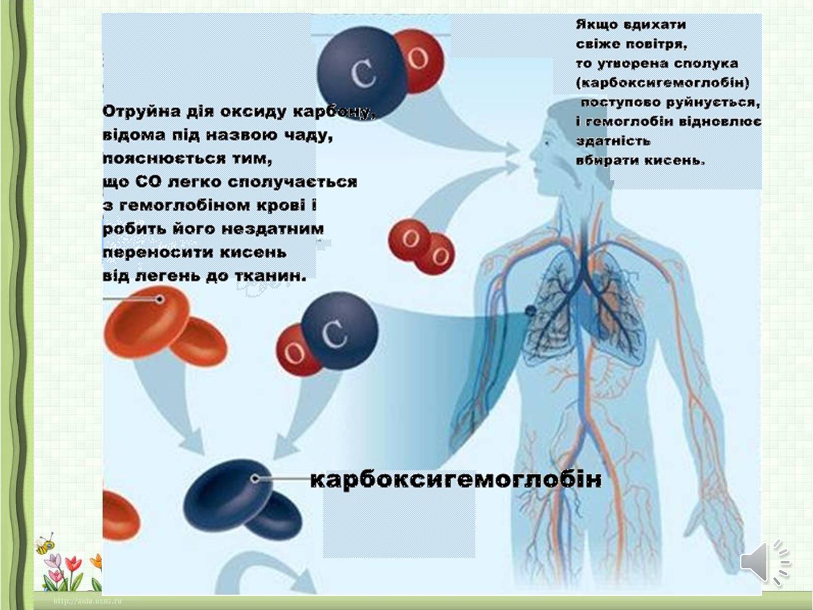 Презентація на тему «Оксиди неметалічних елементів» (варіант 1) - Слайд #25 Презентація на тему «Оксиди неметалічних елементів» (варіант 1) - Слайд #25