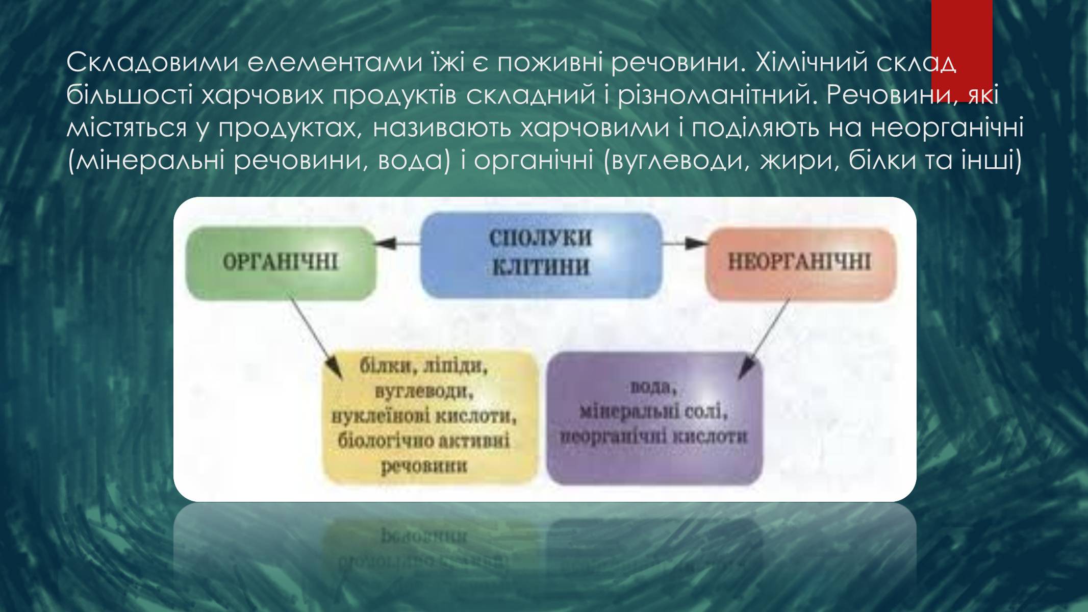 Презентація на тему «Контроль хімічного складу їжі та води» - Слайд #4 Презентація на тему «Контроль хімічного складу їжі та води» - Слайд #4