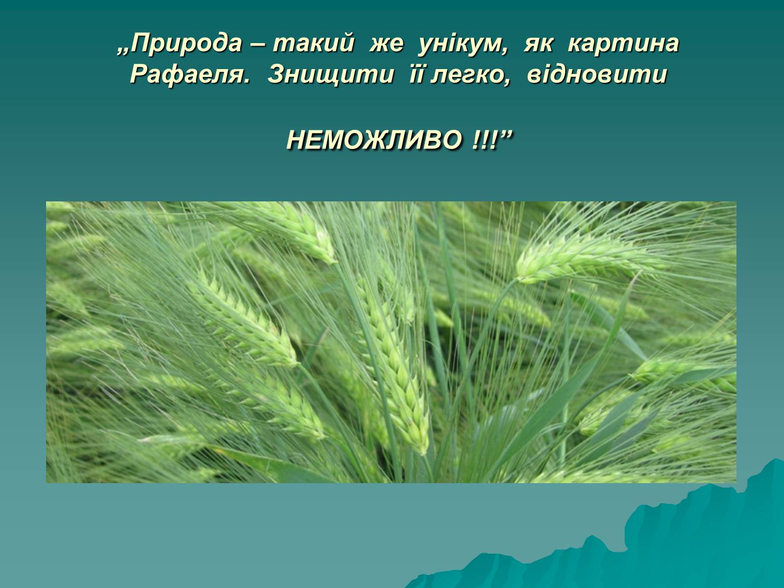 Презентація на тему «Мінеральні добрива» (варіант 8) - Слайд #2 Презентація на тему «Мінеральні добрива» (варіант 8) - Слайд #2