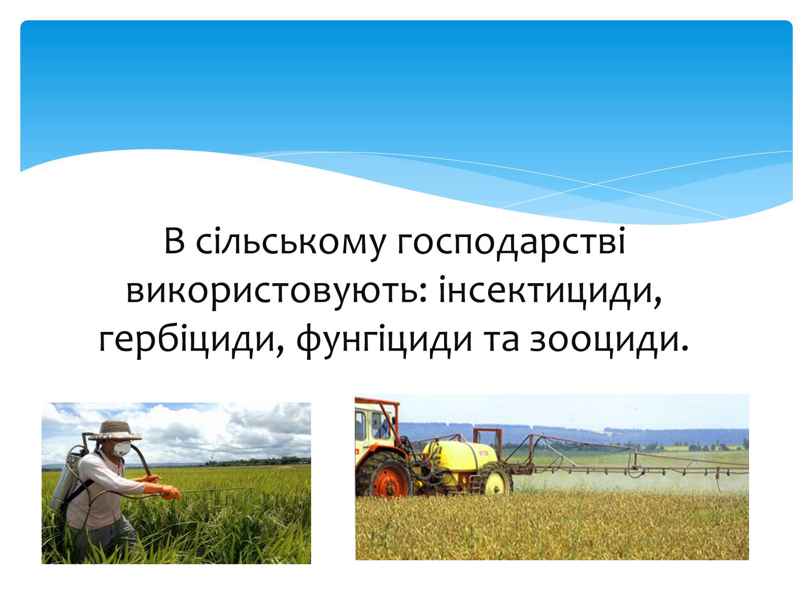 Презентація на тему «Поняття про хімічні засоби захисту рослин» - Слайд #6 Презентація на тему «Поняття про хімічні засоби захисту рослин» - Слайд #6