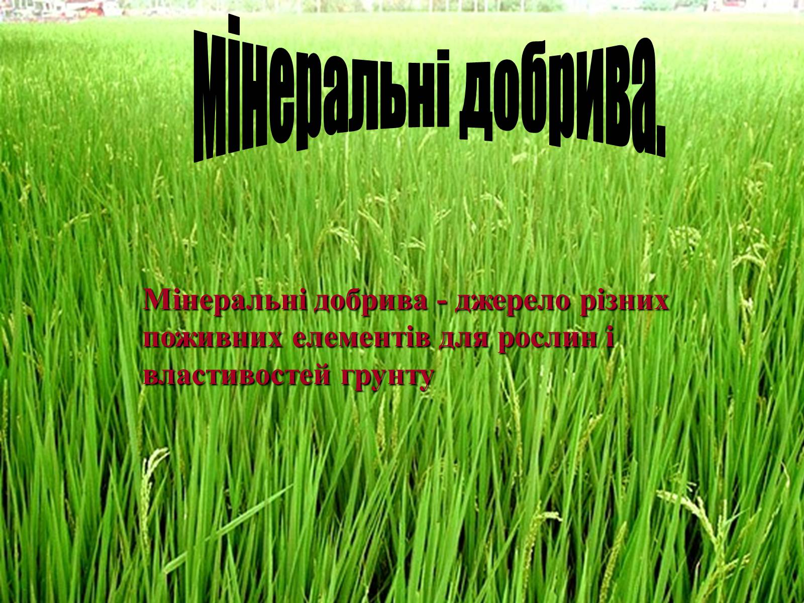 Презентація на тему «Мінеральні добрива» (варіант 3) - Слайд #1 Презентація на тему «Мінеральні добрива» (варіант 3) - Слайд #1