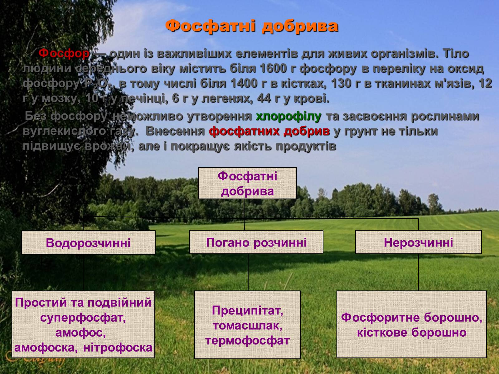 Презентація на тему «Мінеральні добрива» (варіант 3) - Слайд #4 Презентація на тему «Мінеральні добрива» (варіант 3) - Слайд #4