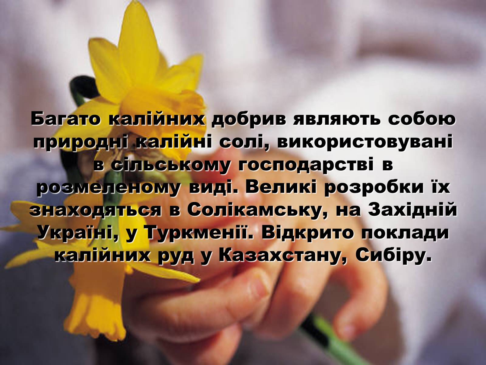 Презентація на тему «Мінеральні добрива» (варіант 3) - Слайд #9 Презентація на тему «Мінеральні добрива» (варіант 3) - Слайд #9