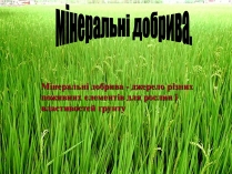 Презентація на тему «Мінеральні добрива» (варіант 3)