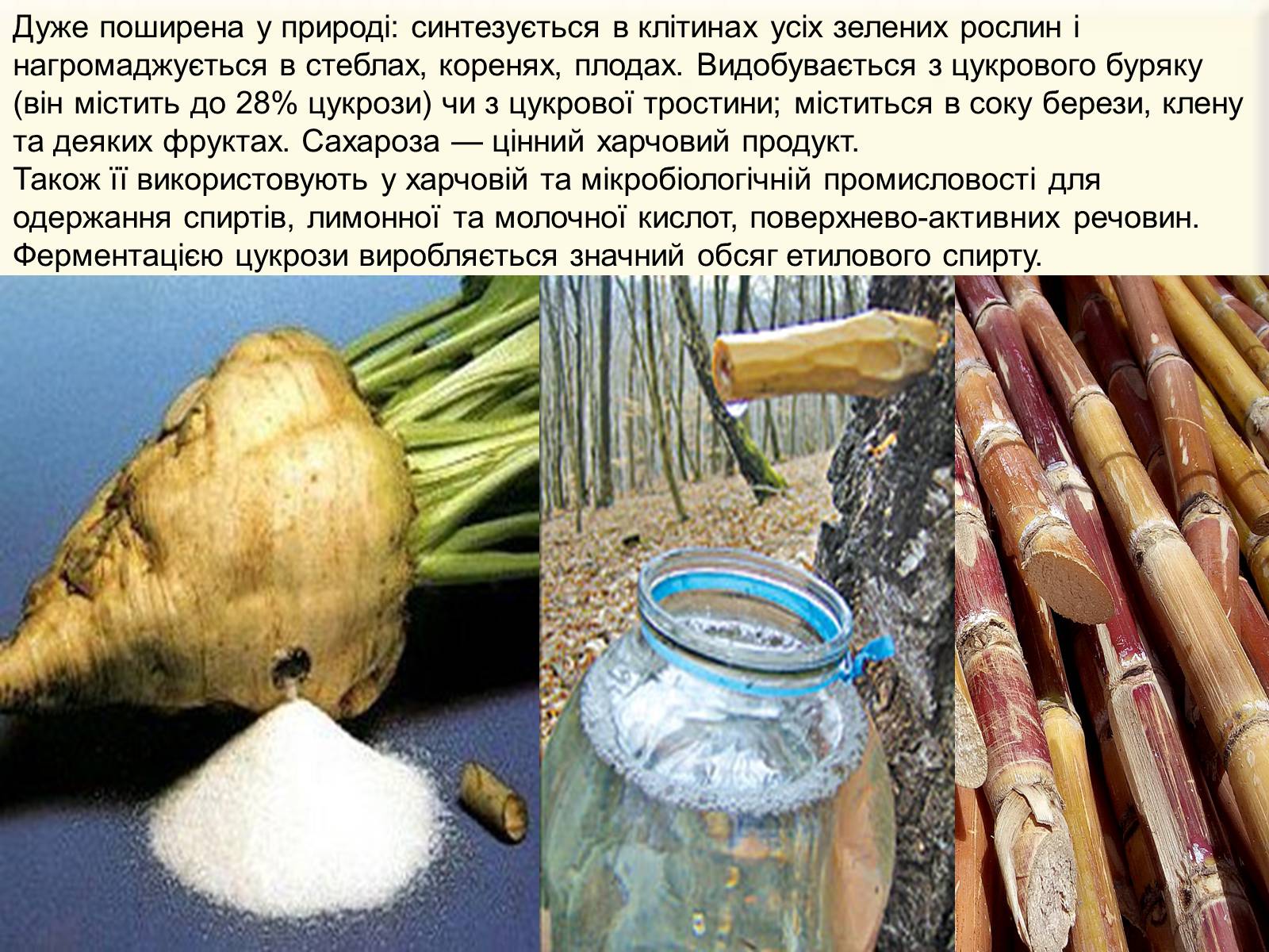 Презентація на тему «Органічні речовини в живій природі» (варіант 1) - Слайд #10 Презентація на тему «Органічні речовини в живій природі» (варіант 1) - Слайд #10