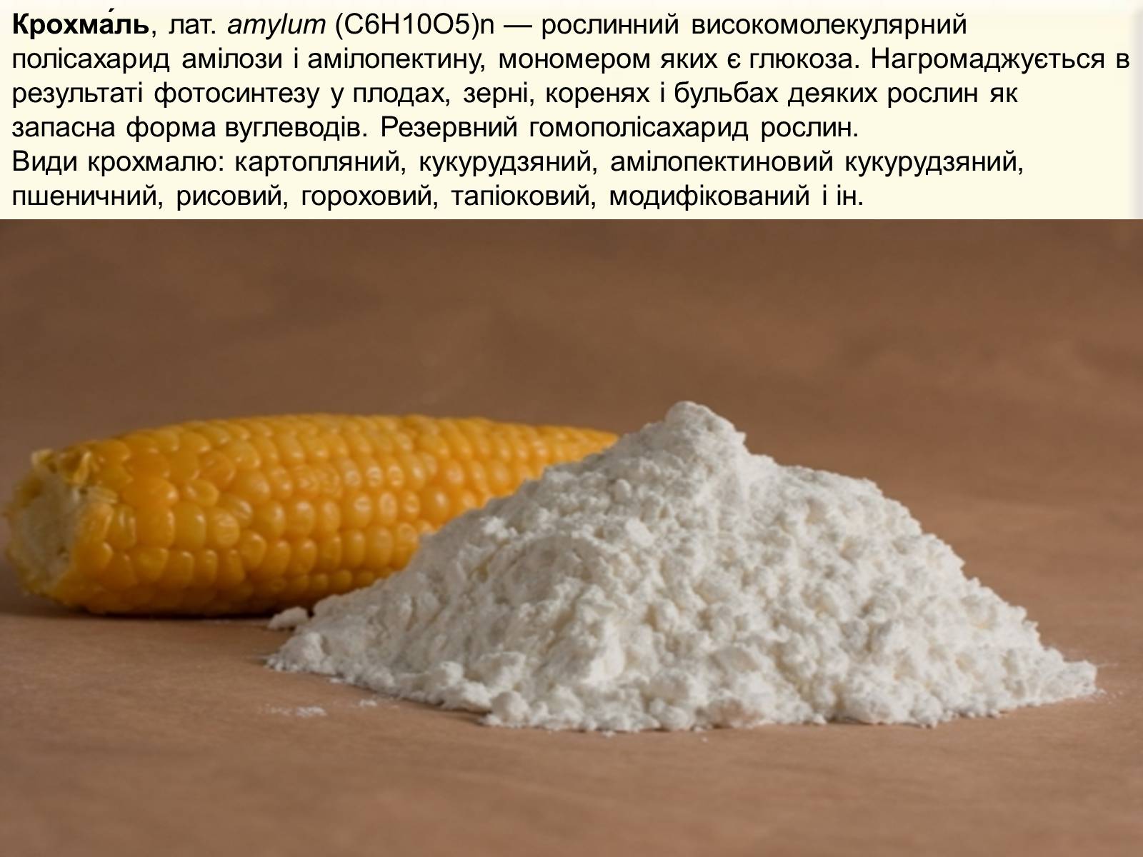 Презентація на тему «Органічні речовини в живій природі» (варіант 1) - Слайд #12 Презентація на тему «Органічні речовини в живій природі» (варіант 1) - Слайд #12