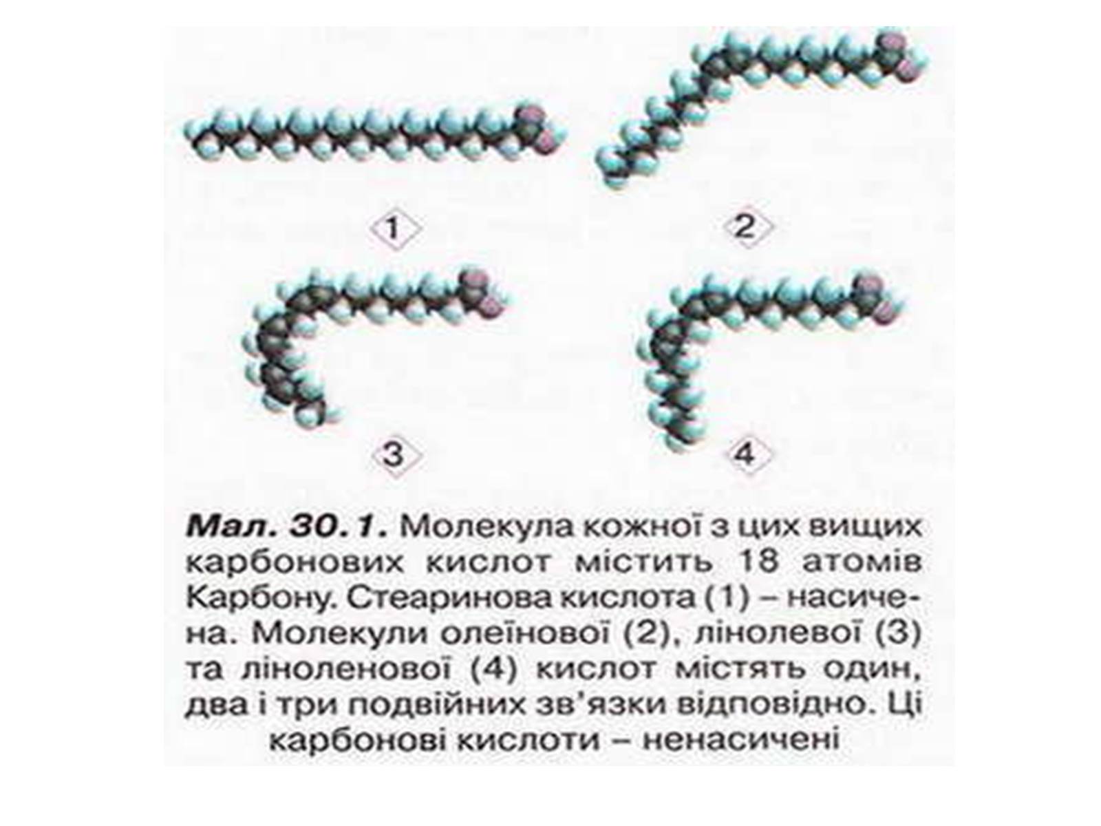 Презентація на тему «Жири» (варіант 1) - Слайд #11 Презентація на тему «Жири» (варіант 1) - Слайд #11