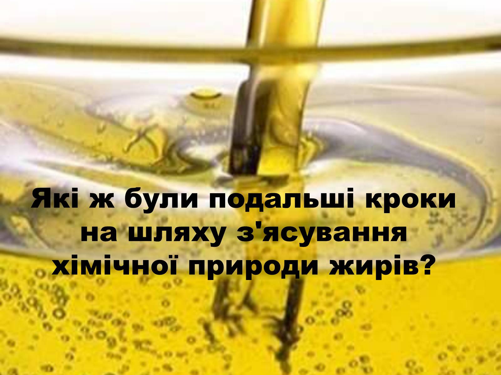 Презентація на тему «Жири» (варіант 1) - Слайд #16 Презентація на тему «Жири» (варіант 1) - Слайд #16