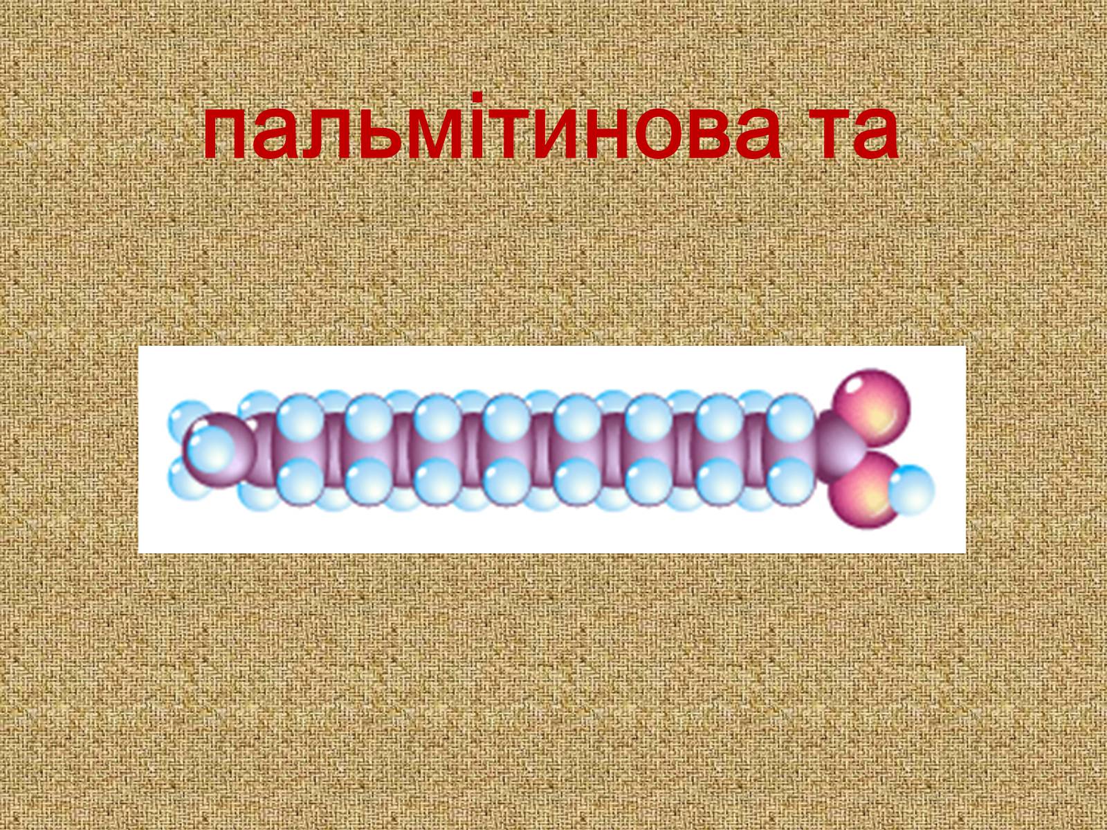 Презентація на тему «Жири» (варіант 1) - Слайд #8 Презентація на тему «Жири» (варіант 1) - Слайд #8