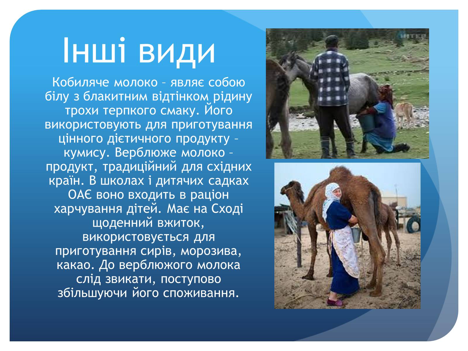 Презентація на тему «Молоко» - Слайд #12 Презентація на тему «Молоко» - Слайд #12