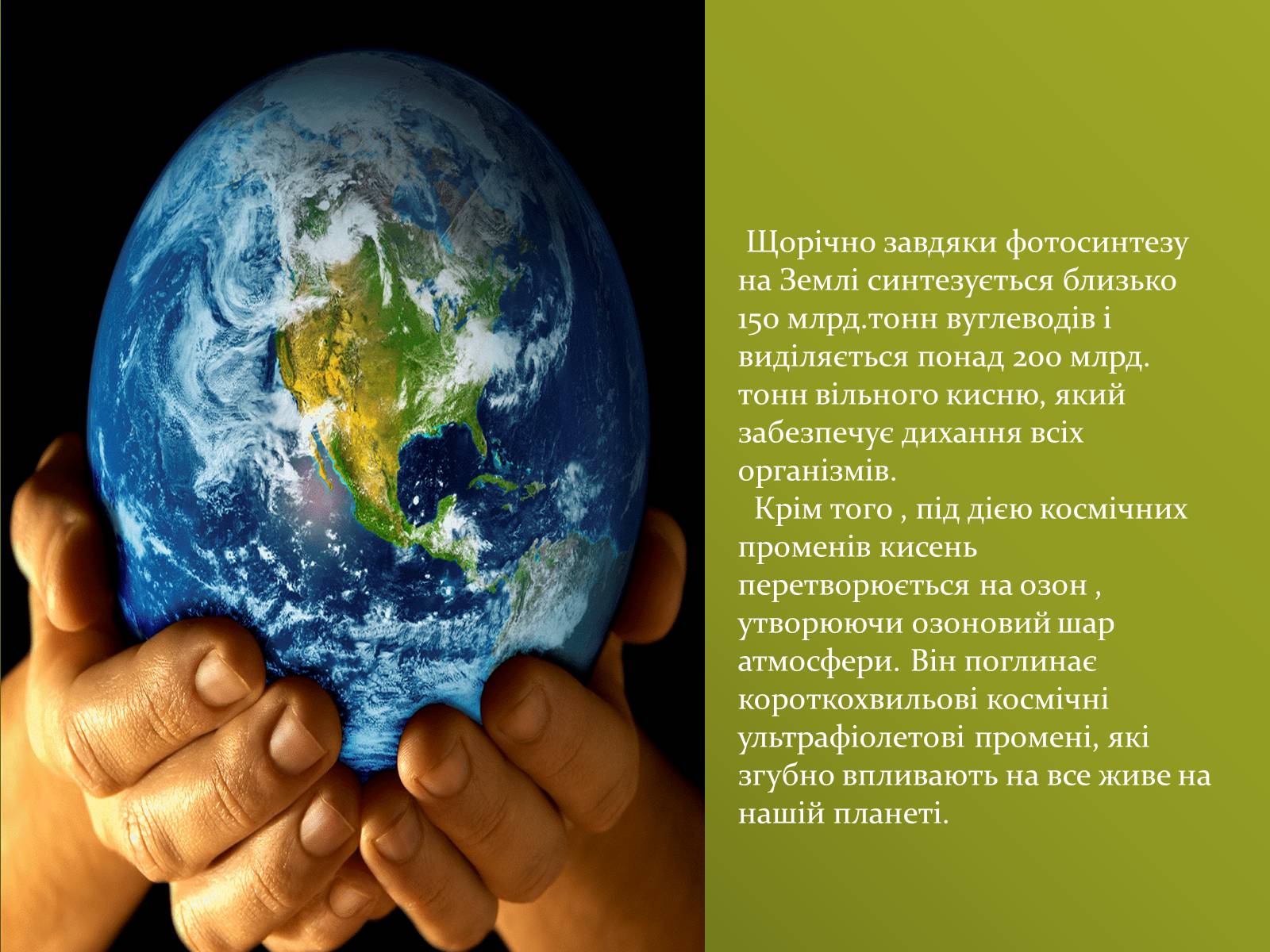 Презентація на тему «Значення хімічних процесів у природі» - Слайд #6 Презентація на тему «Значення хімічних процесів у природі» - Слайд #6