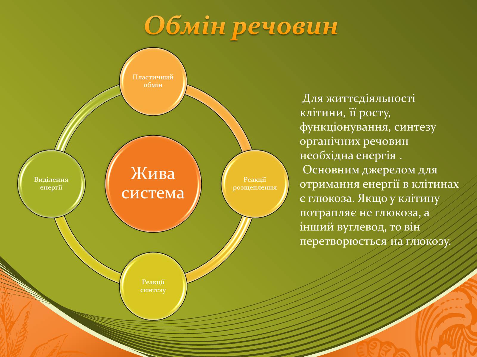 Презентація на тему «Значення хімічних процесів у природі» - Слайд #8 Презентація на тему «Значення хімічних процесів у природі» - Слайд #8