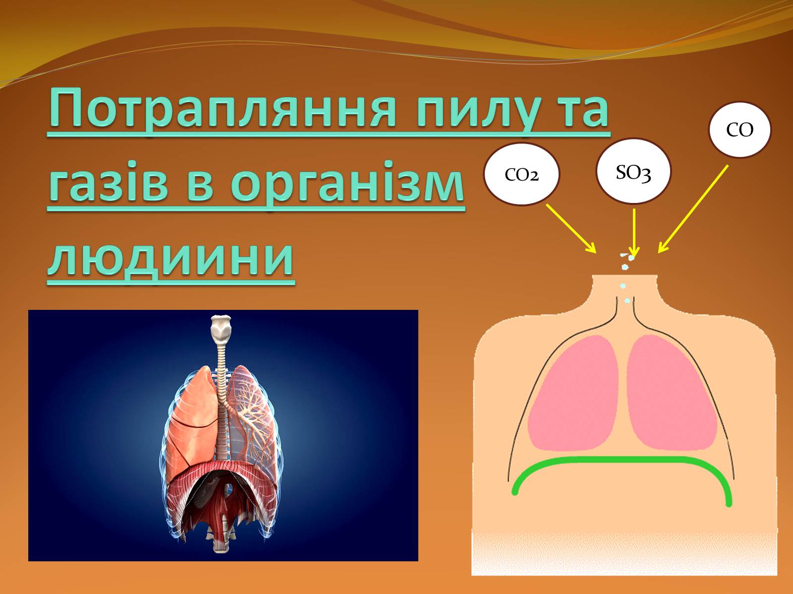 Презентація на тему «Місце хімії серед інших наук про природу» (варіант 2) - Слайд #28 Презентація на тему «Місце хімії серед інших наук про природу» (варіант 2) - Слайд #28