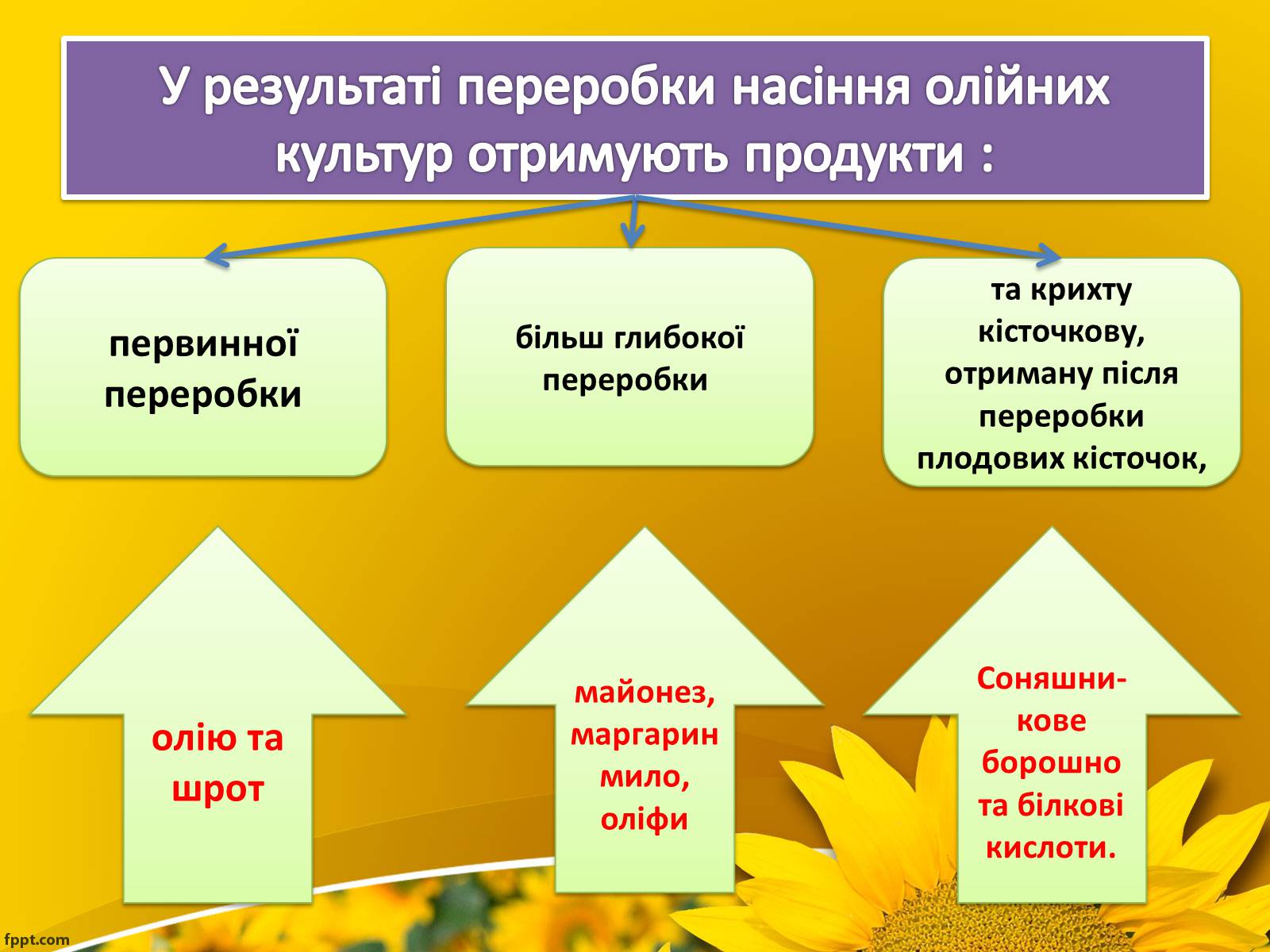 Презентація на тему «Олійно-жирова промисловість» - Слайд #3