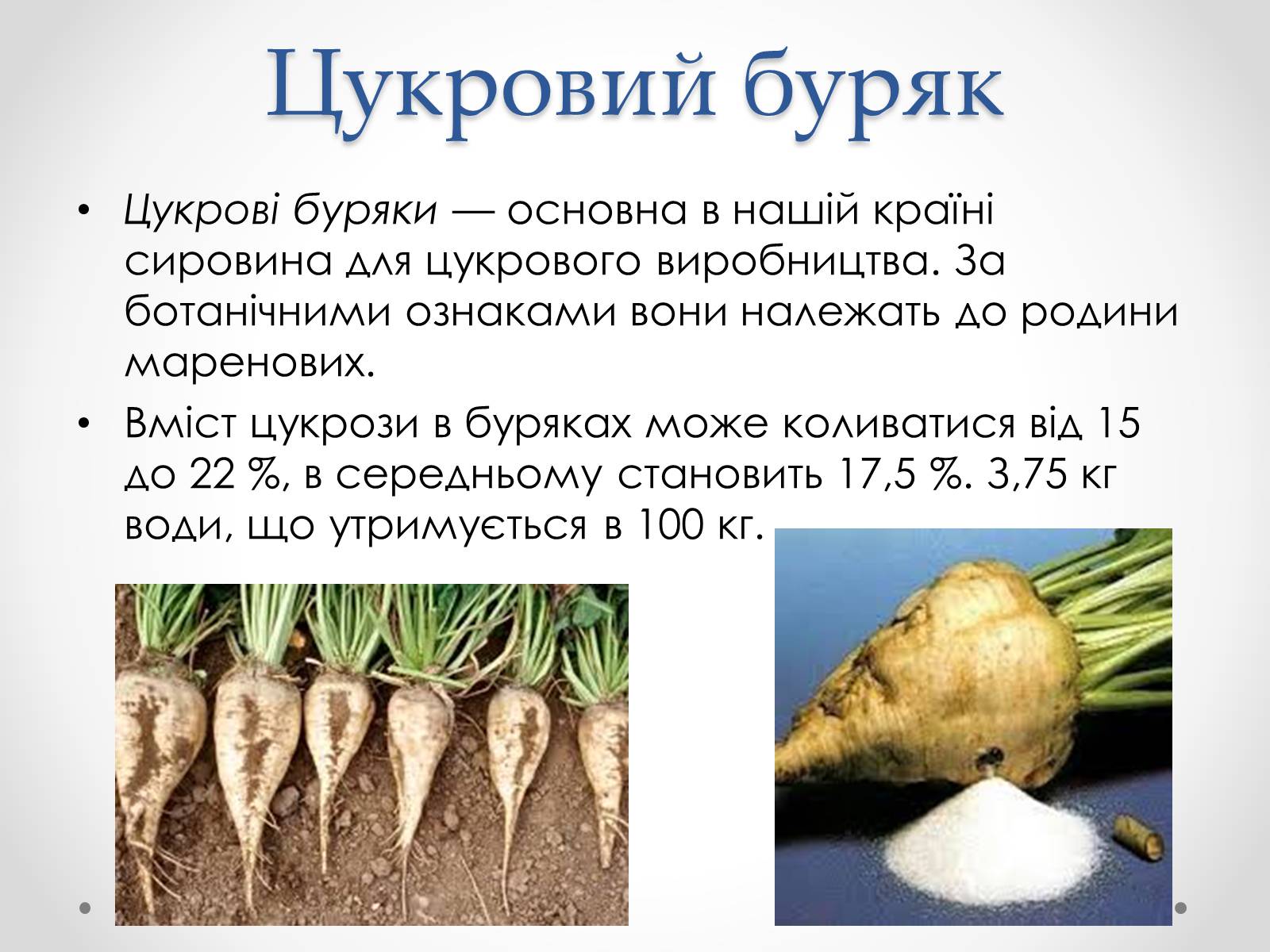 Презентація на тему «Виробництво цукру» - Слайд #10 Презентація на тему «Виробництво цукру» - Слайд #10
