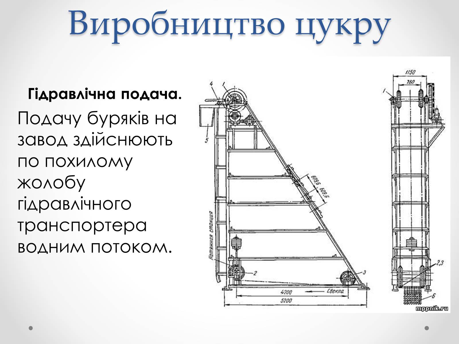 Презентація на тему «Виробництво цукру» - Слайд #12 Презентація на тему «Виробництво цукру» - Слайд #12