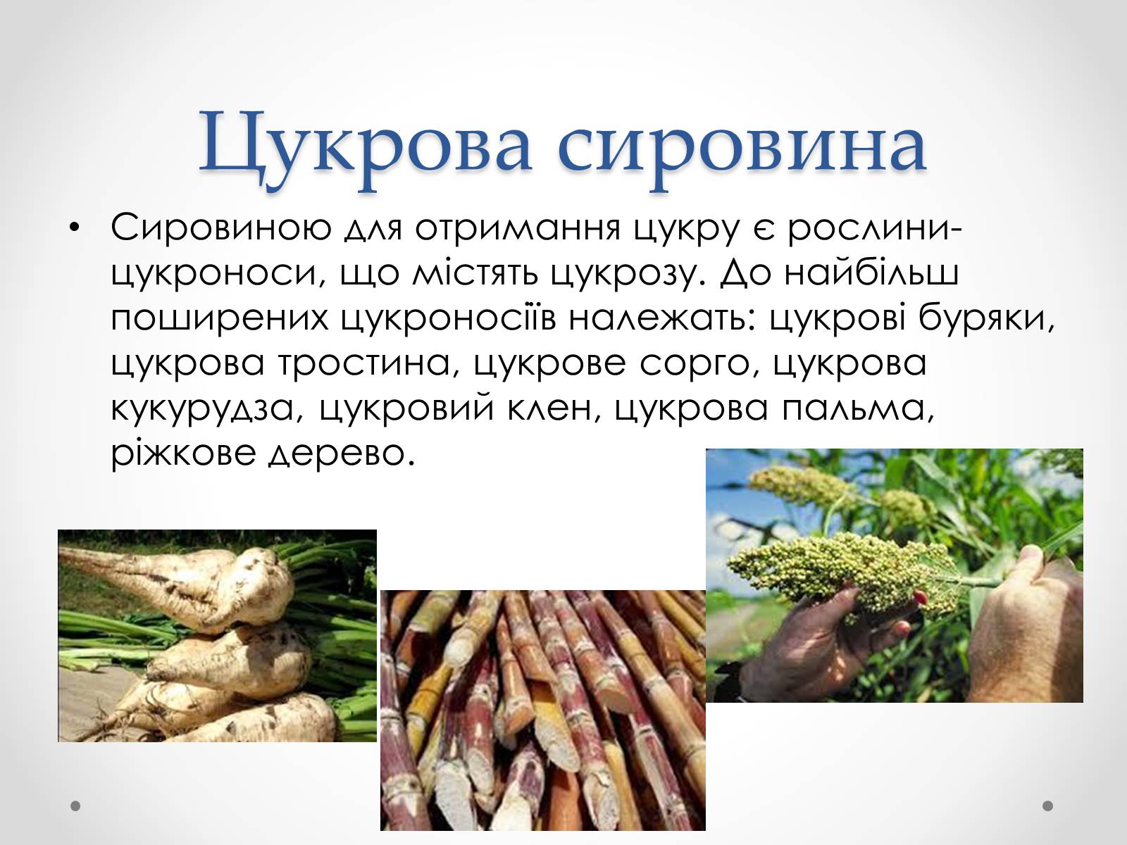 Презентація на тему «Виробництво цукру» - Слайд #2 Презентація на тему «Виробництво цукру» - Слайд #2