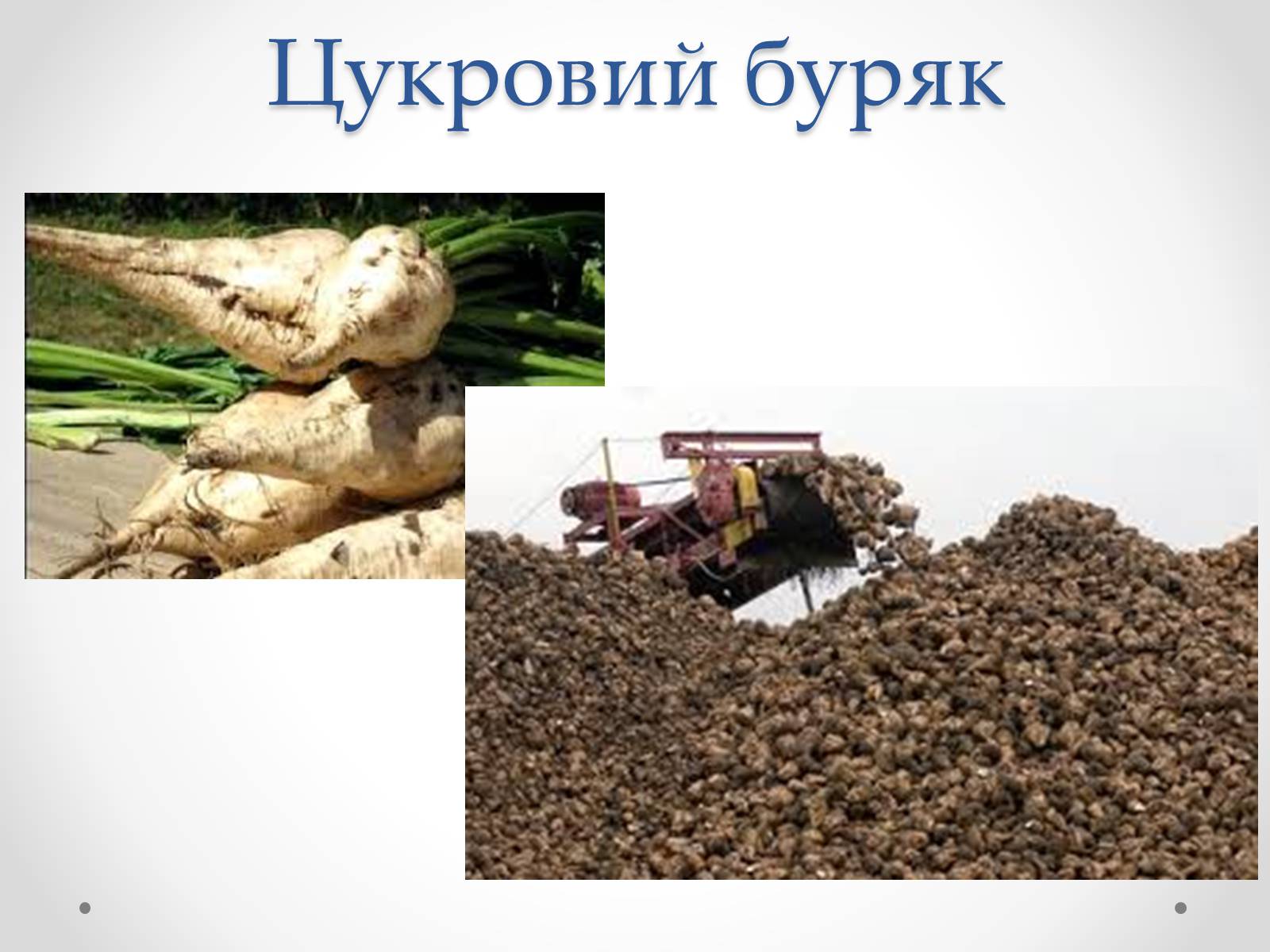 Презентація на тему «Виробництво цукру» - Слайд #3 Презентація на тему «Виробництво цукру» - Слайд #3