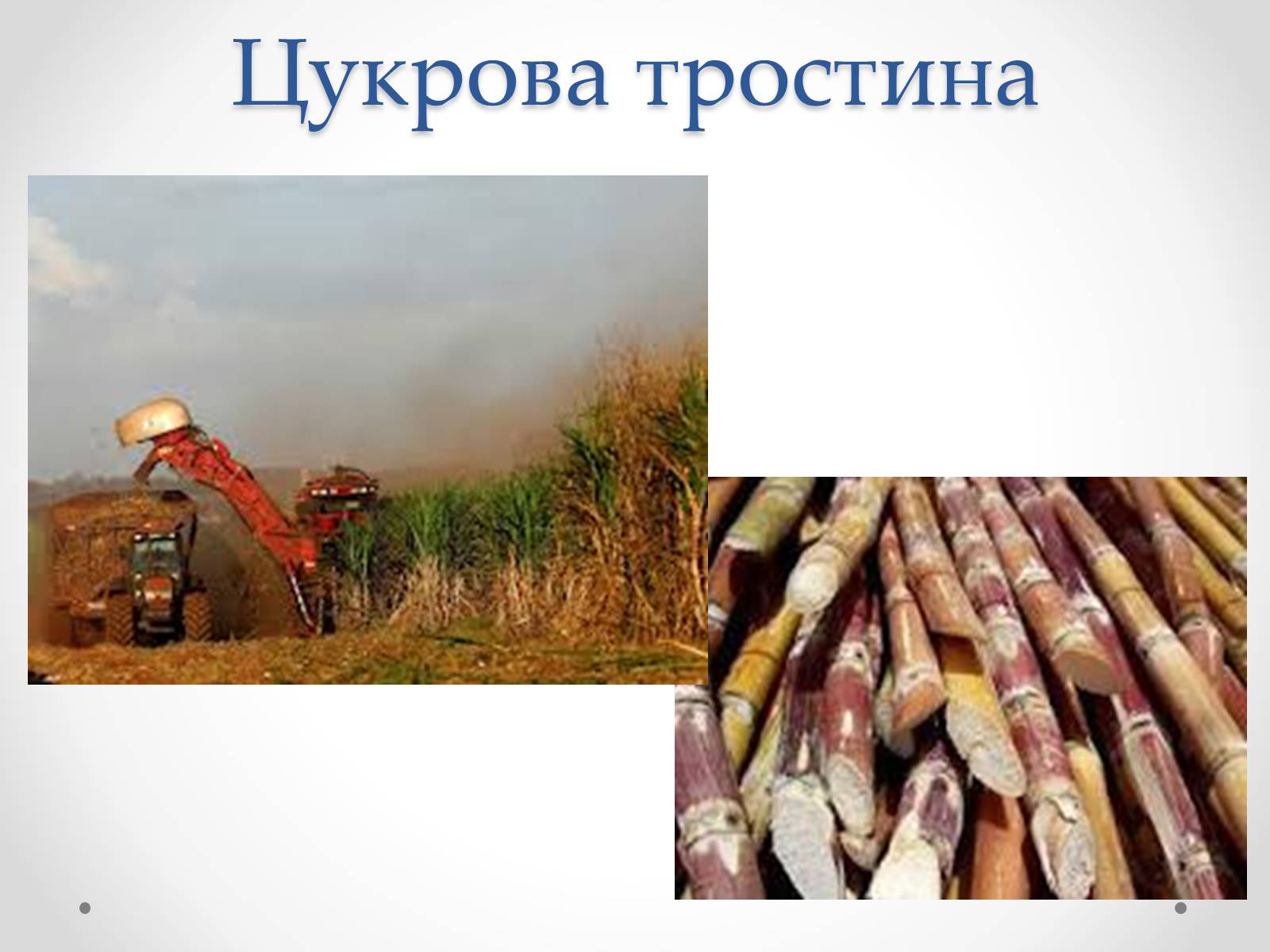 Презентація на тему «Виробництво цукру» - Слайд #4 Презентація на тему «Виробництво цукру» - Слайд #4