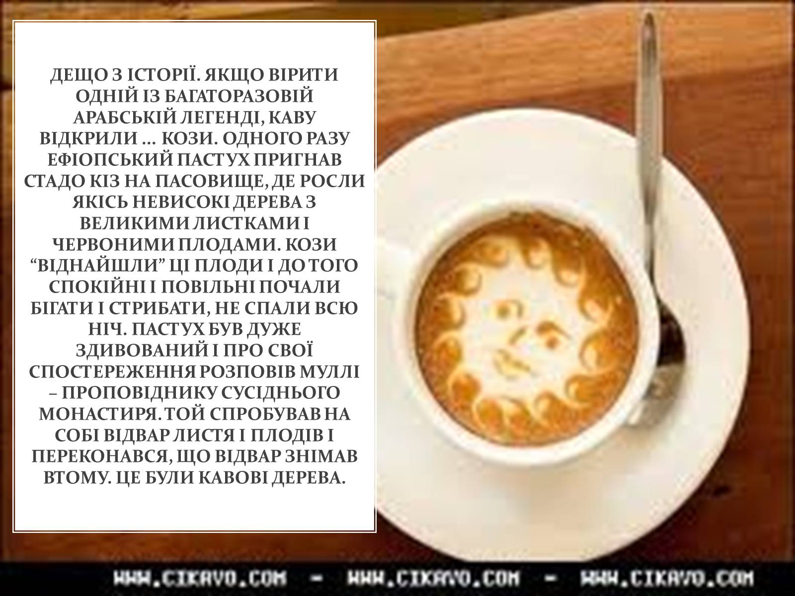 Презентація на тему «Кава» - Слайд #3 Презентація на тему «Кава» - Слайд #3