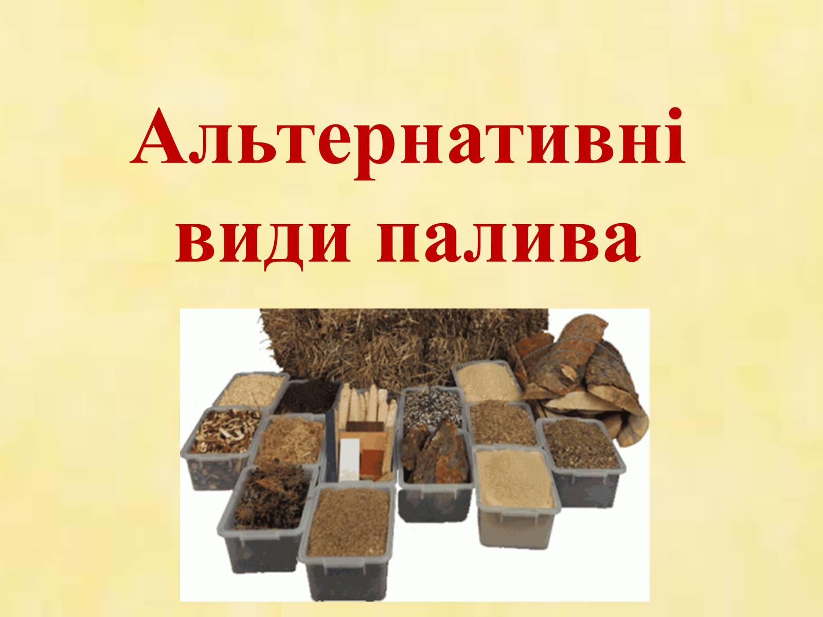 Презентація на тему «Альтернативні види палива» (варіант 1) - Слайд #1 Презентація на тему «Альтернативні види палива» (варіант 1) - Слайд #1