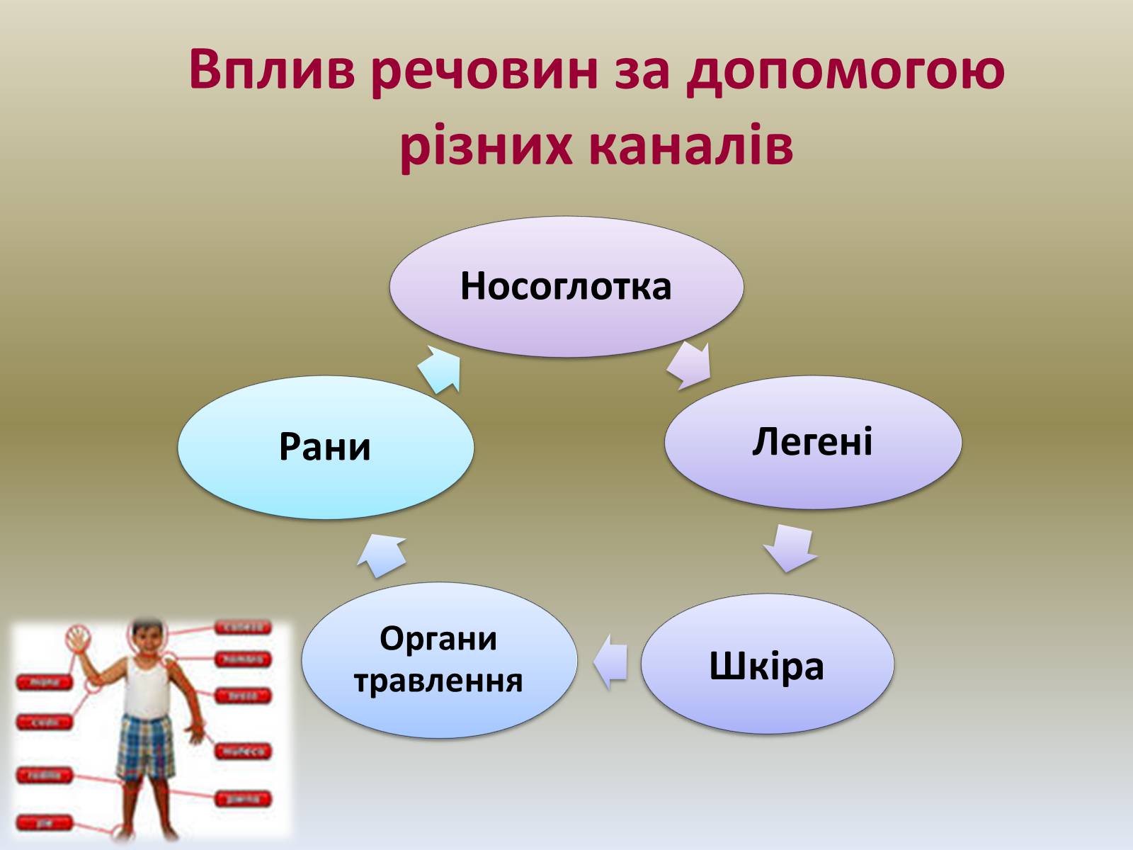 Презентація на тему «Хімія в побуті» (варіант 1) - Слайд #10 Презентація на тему «Хімія в побуті» (варіант 1) - Слайд #10