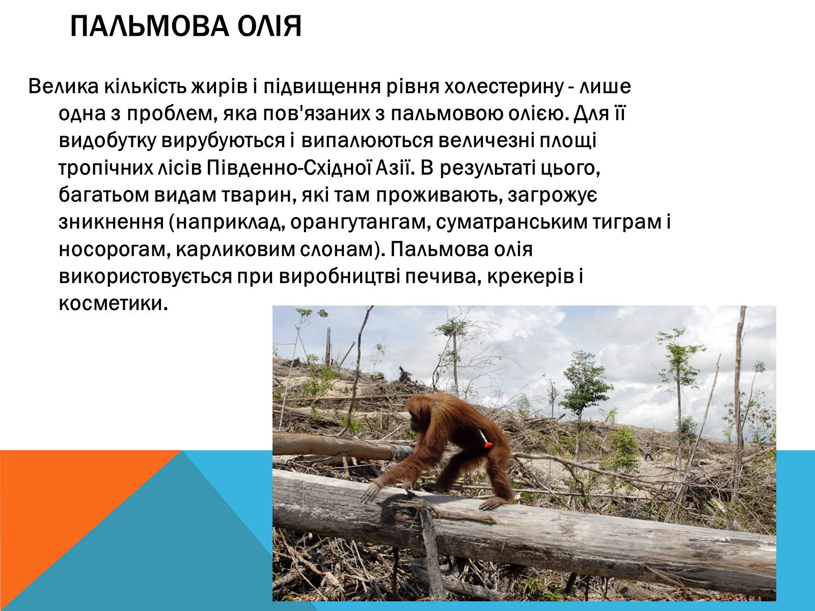 Презентація на тему «Цікаві факти про Харчові добавки» - Слайд #5 Презентація на тему «Цікаві факти про Харчові добавки» - Слайд #5