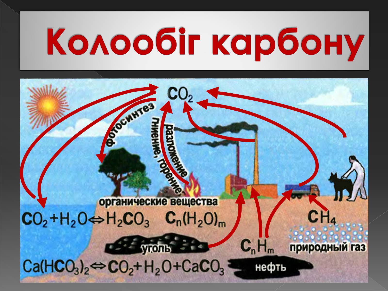Презентація на тему «Карбон» (варіант 3) - Слайд #8 Презентація на тему «Карбон» (варіант 3) - Слайд #8