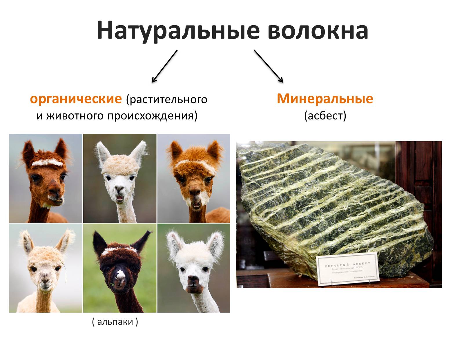Презентація на тему «Текстильные волокна» - Слайд #2 Презентація на тему «Текстильные волокна» - Слайд #2