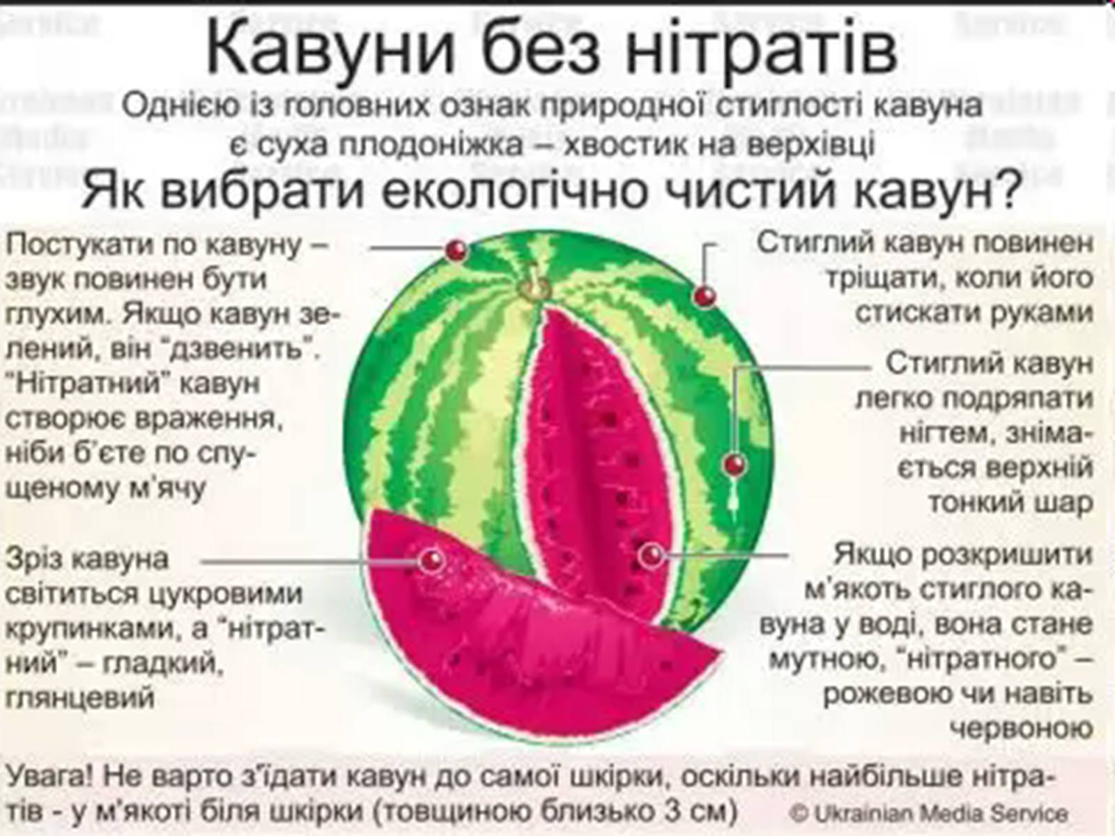 Презентація на тему «Нітрати в харчових продуктах» - Слайд #11 Презентація на тему «Нітрати в харчових продуктах» - Слайд #11