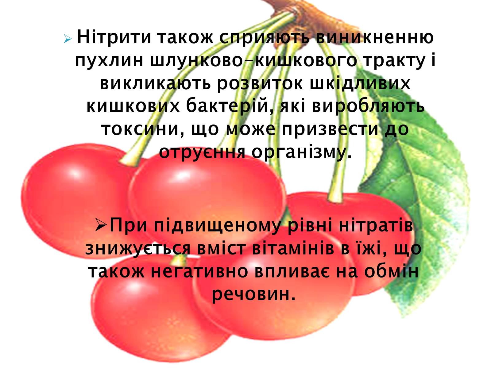 Презентація на тему «Нітрати в харчових продуктах» - Слайд #13 Презентація на тему «Нітрати в харчових продуктах» - Слайд #13