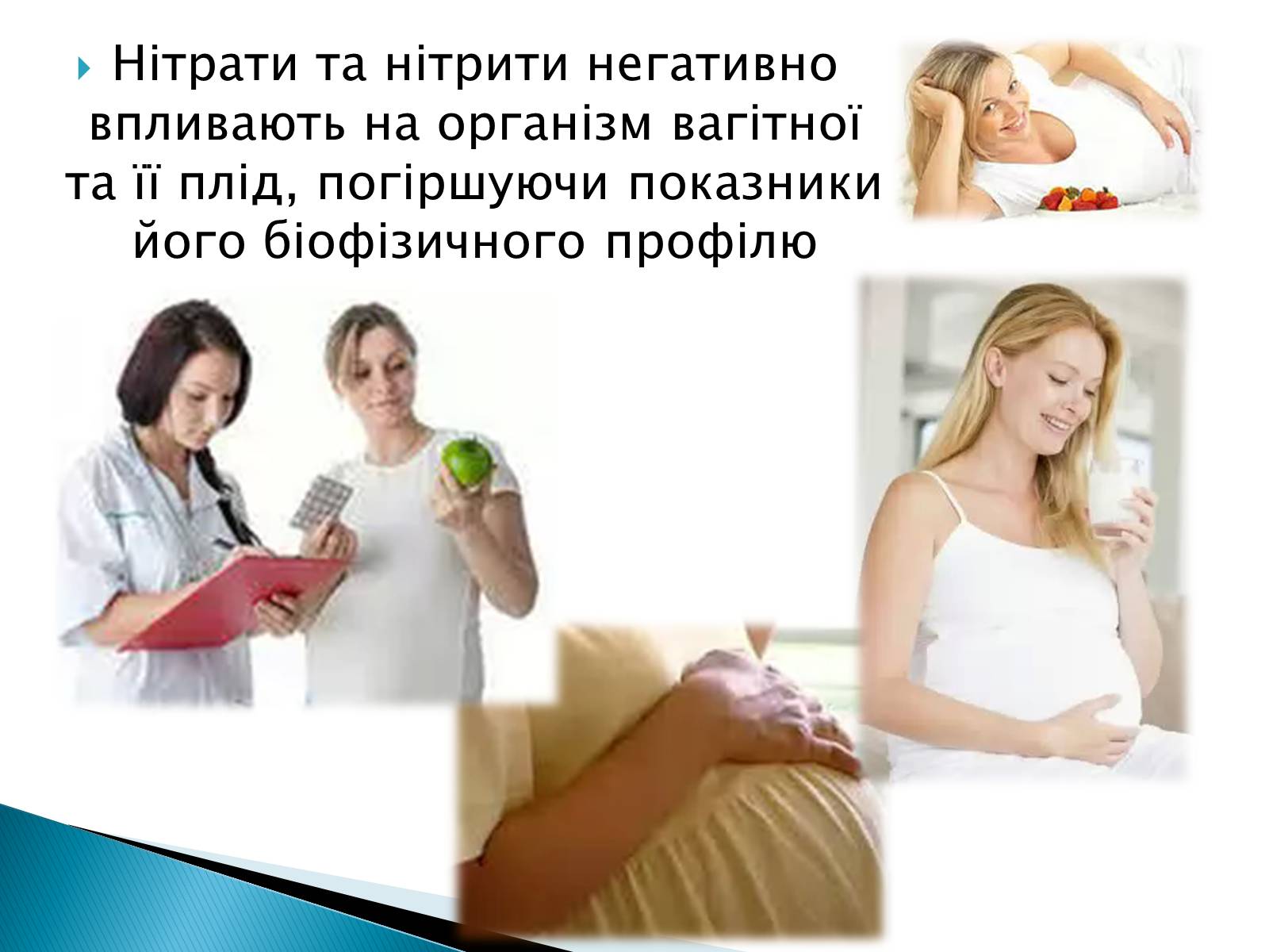 Презентація на тему «Нітрати в харчових продуктах» - Слайд #14 Презентація на тему «Нітрати в харчових продуктах» - Слайд #14