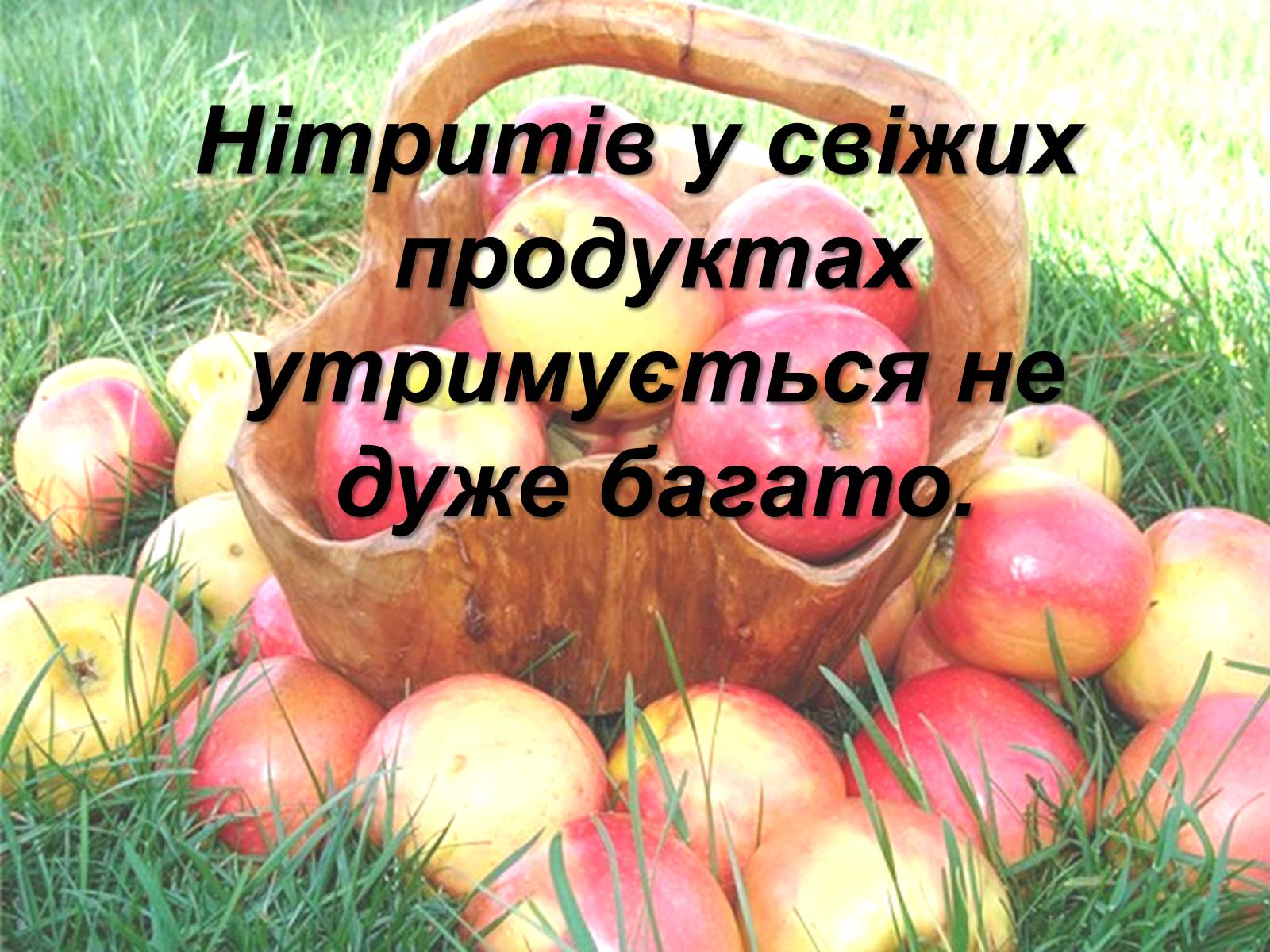 Презентація на тему «Нітрати в харчових продуктах» - Слайд #7 Презентація на тему «Нітрати в харчових продуктах» - Слайд #7