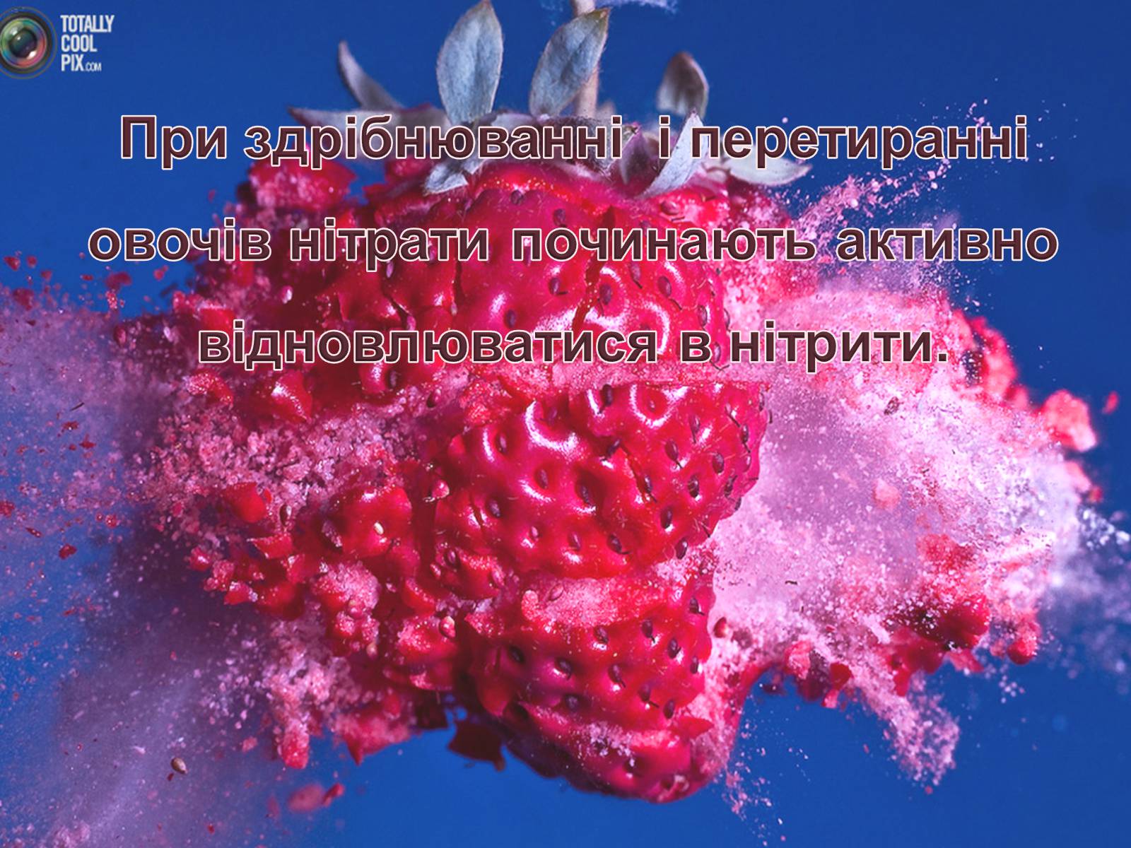 Презентація на тему «Нітрати в харчових продуктах» - Слайд #8 Презентація на тему «Нітрати в харчових продуктах» - Слайд #8