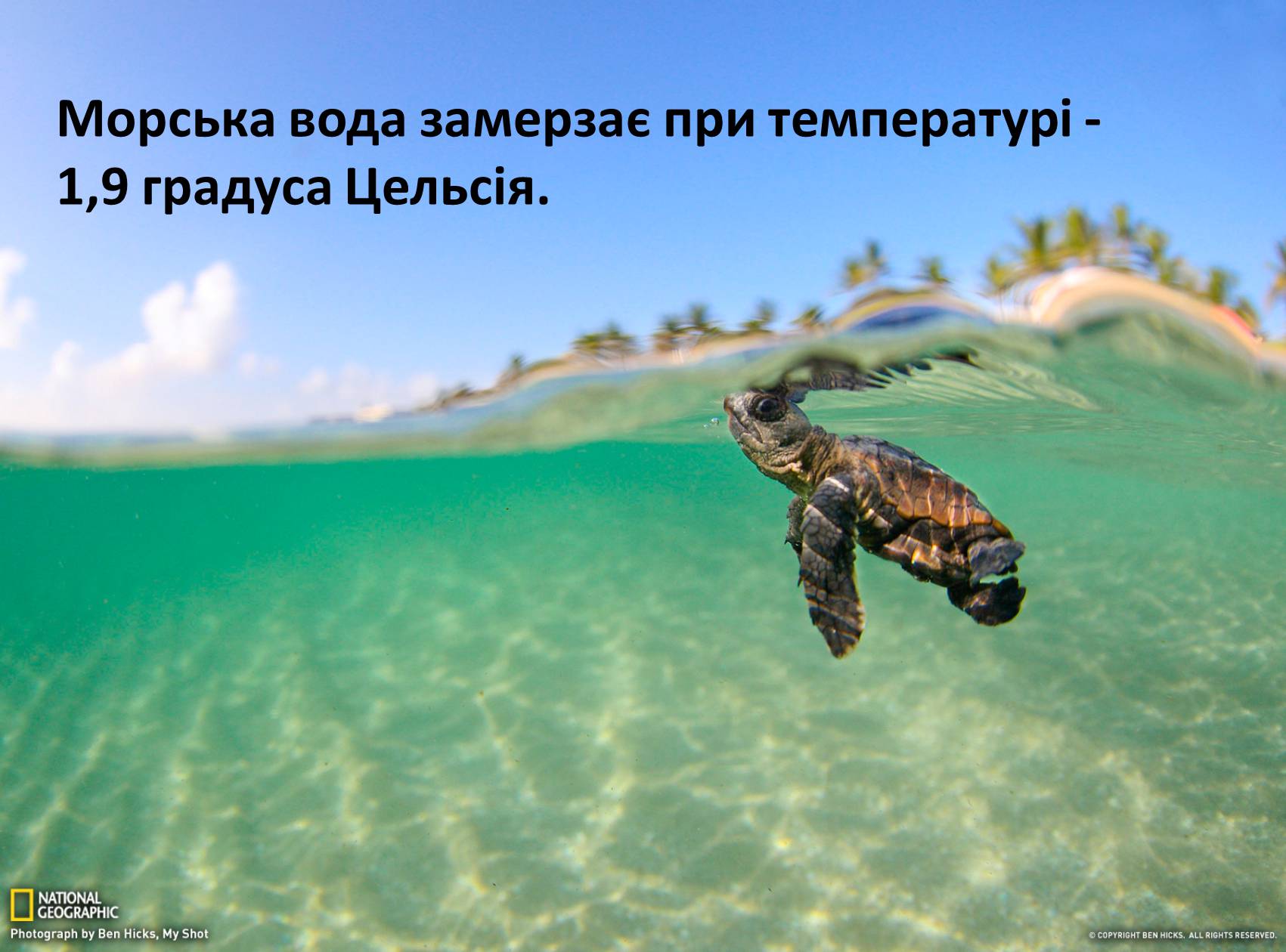 Презентація на тему «Вода» (варіант 8) - Слайд #15 Презентація на тему «Вода» (варіант 8) - Слайд #15