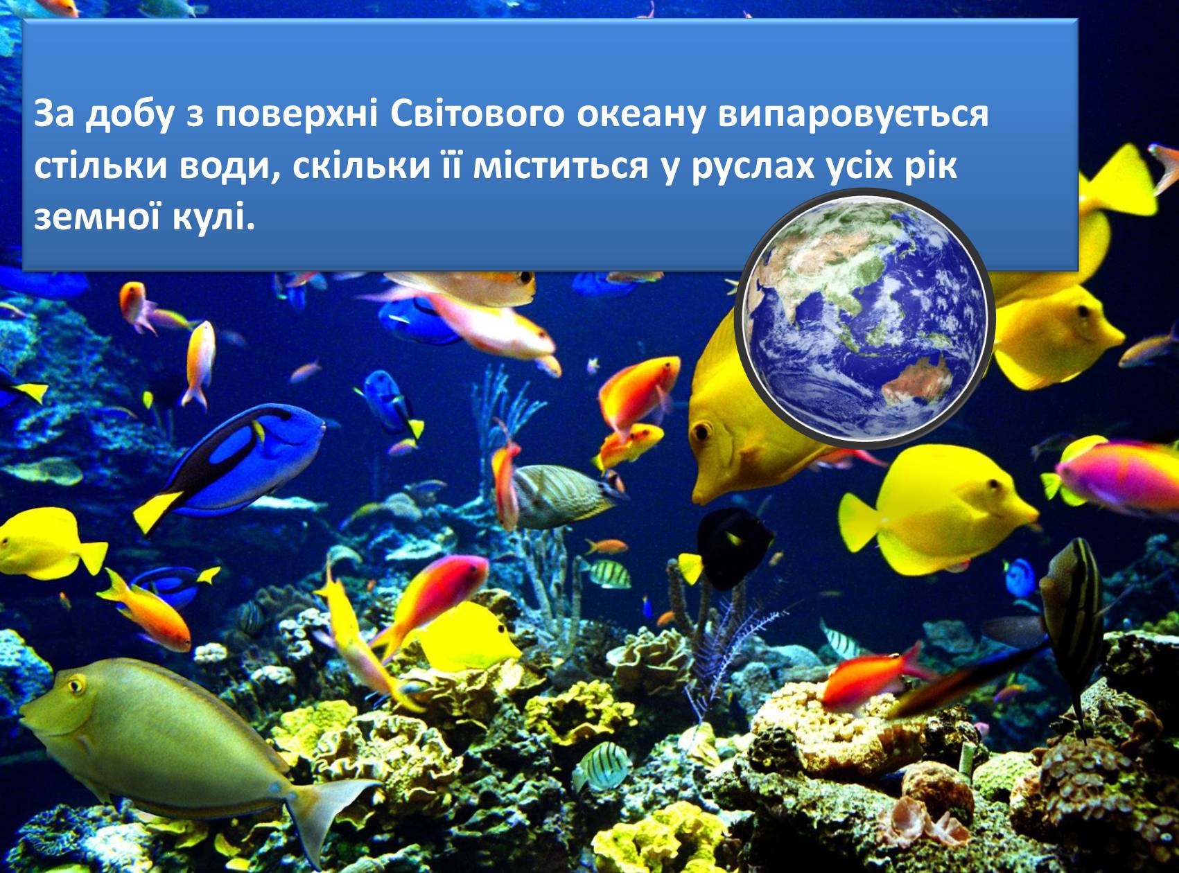 Презентація на тему «Вода» (варіант 8) - Слайд #21 Презентація на тему «Вода» (варіант 8) - Слайд #21