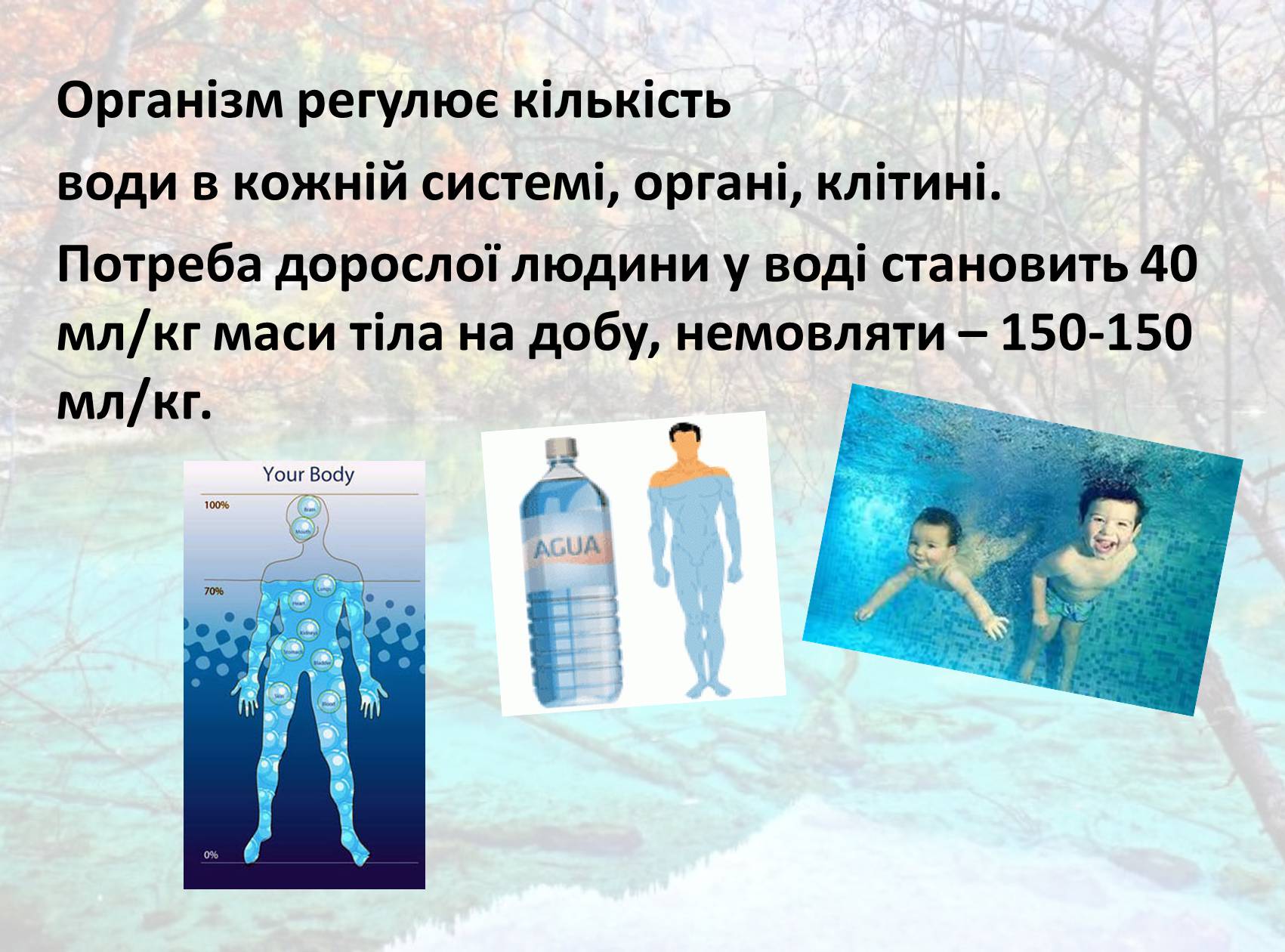 Презентація на тему «Вода» (варіант 8) - Слайд #4 Презентація на тему «Вода» (варіант 8) - Слайд #4