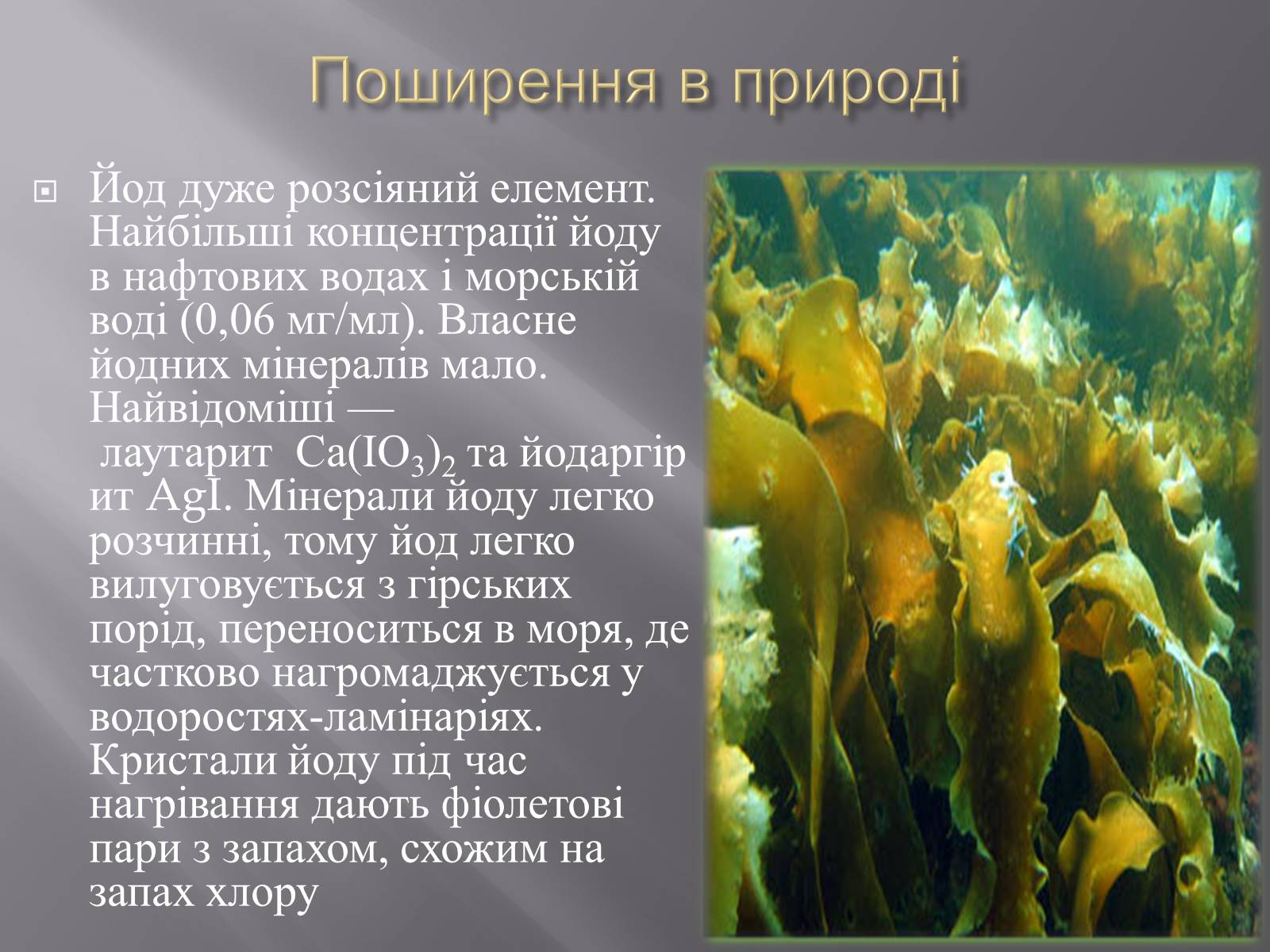 Презентація на тему «ЙОД» (варіант 3) - Слайд #6 Презентація на тему «ЙОД» (варіант 3) - Слайд #6