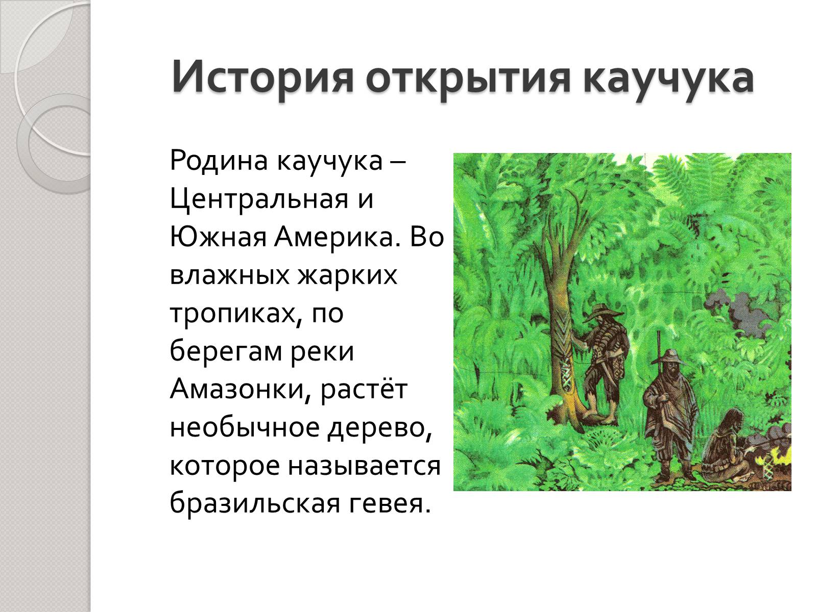Презентація на тему «Натуральный и синтетический каучуки» - Слайд #2 Презентація на тему «Натуральный и синтетический каучуки» - Слайд #2